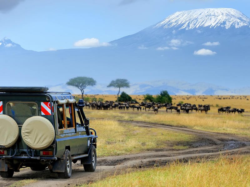 7-day Classic Kenya Safari (Silver)