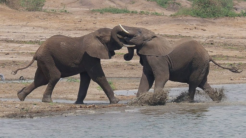 Queen Elizabeth National Park, Uganda