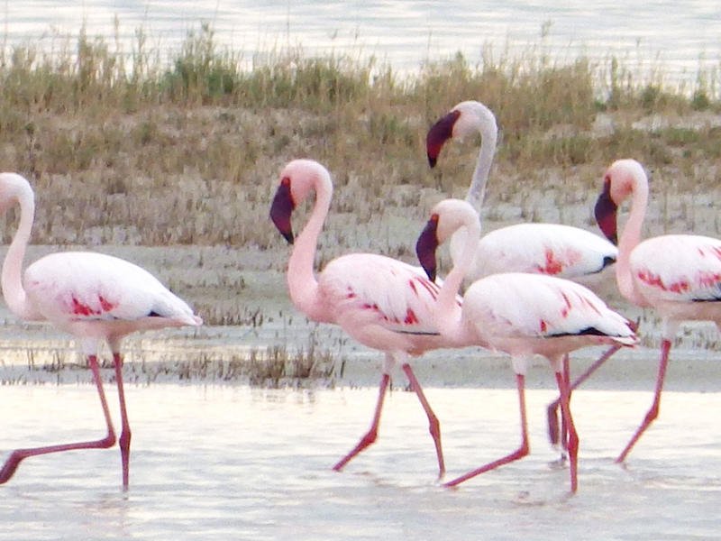 Nata, Botswana