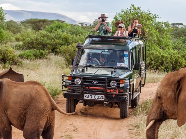 Small Group Safaris Small Group Safaris