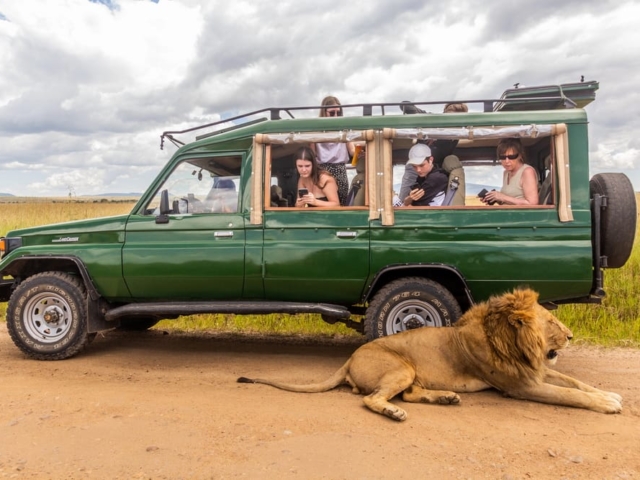 Small Group Safaris Small Group Safaris