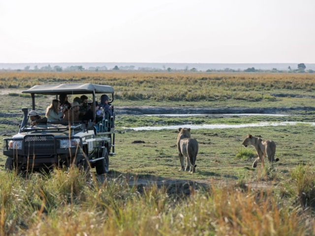Small Group Safaris Small Group Safaris