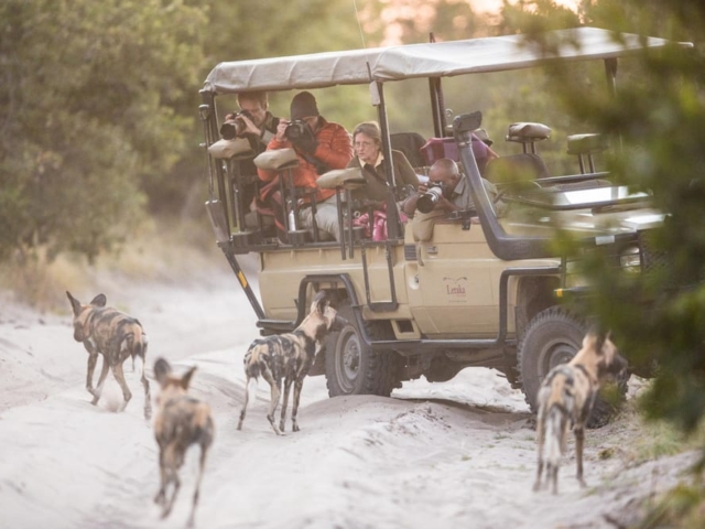 Small Group Safaris Small Group Safaris