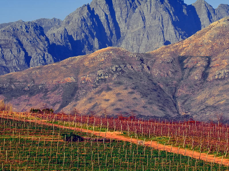 Stellenbosch, South Africa